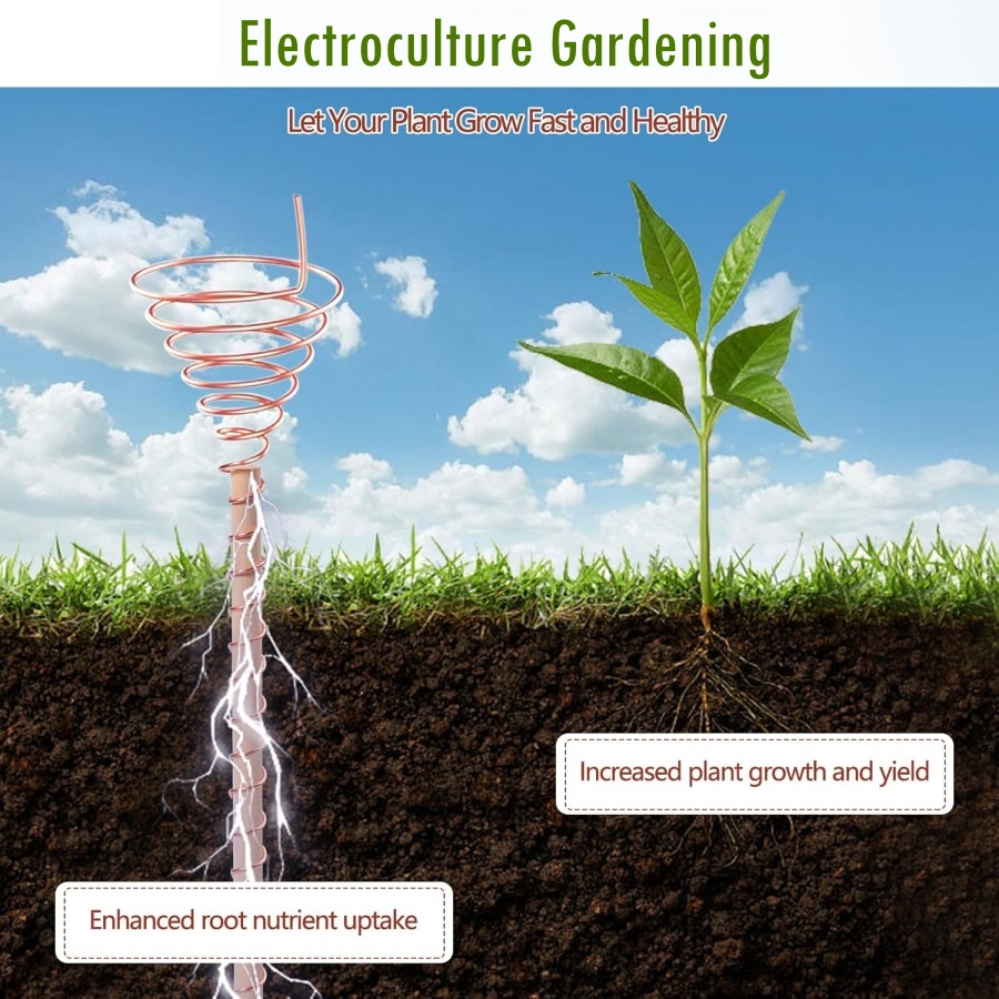 20m/65ft Electroculture Garden - Dowel Jig Kit ulasan dan harga
